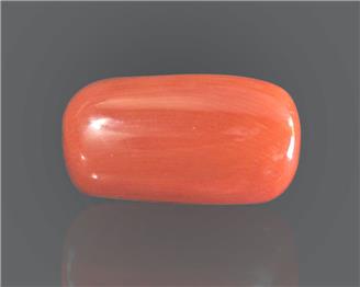 Natural Coral  7.93RTS-27453